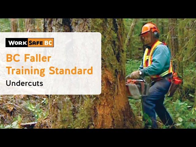 BC Faller Training Standard - Undercuts (8 of 17)