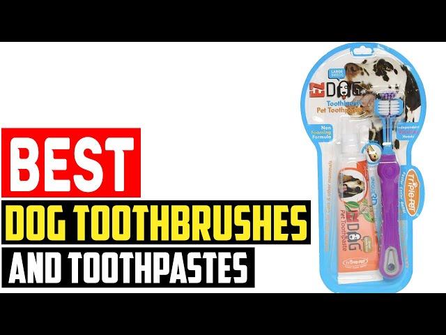  Top 5 Best Dog Toothbrushes and Toothpastes in 2023