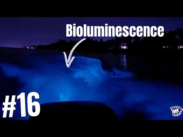 Absolutely Insane Bioluminescence Wake Boarding Indian River Florida | Shred Shaka #16