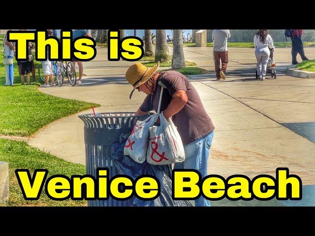 This is Venice Beach 2024