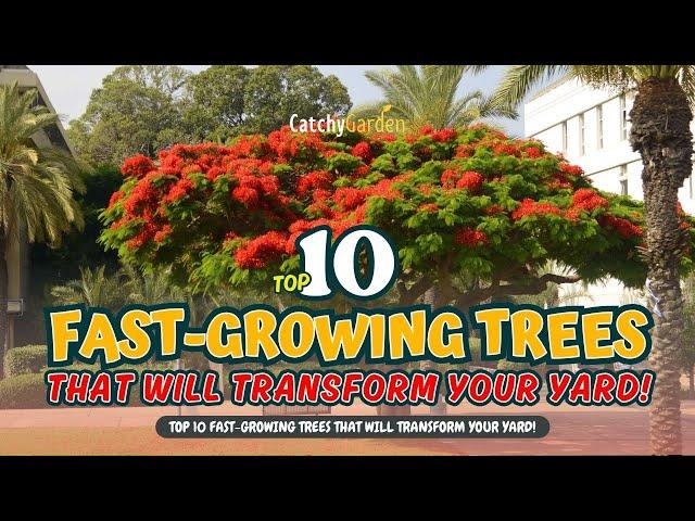 TOP 10 FAST-GROWING TREES That Will TRANSFORM Your Yard! // Gardening Ideas