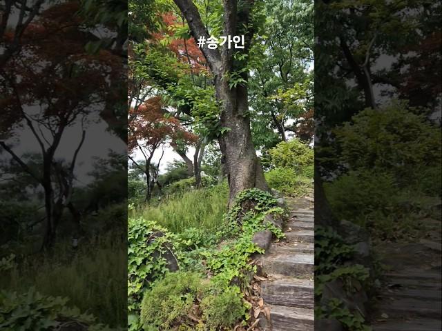 어딜 가든 함께인 당신이 있어서 행복합니다️ #송가인 #평생 #k트롯 #again #송블리 #shorts