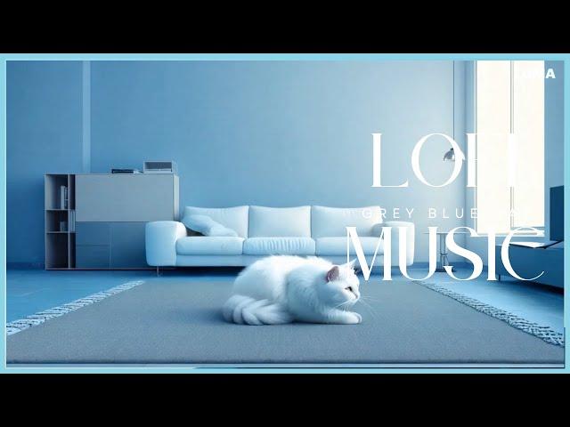 Lofi Grey Blue Cat Music｜Vol.162｜2024.12.17｜療癒音樂、輕快音樂、放鬆音樂