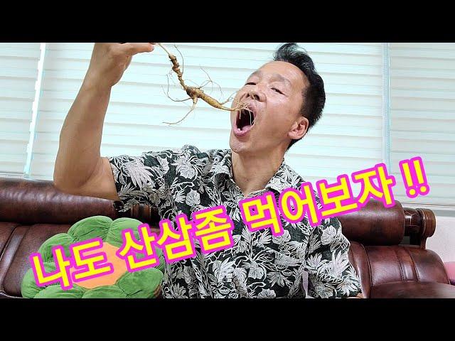 산삼.산양삼 복용법