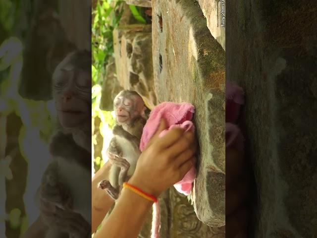 Abandoned Long tile Baby & Blanket  #monkey