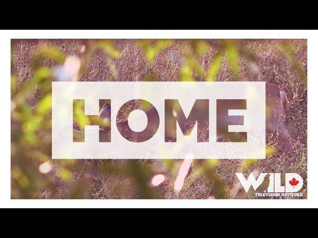 Bone Cold TV - Home