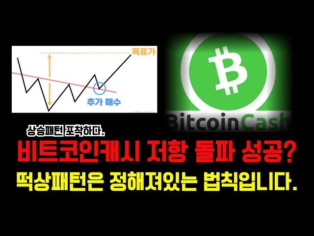 비트코인캐시 역헤숄 보인다고 말씀드렸죠? 상승은 이제 출발합니다 #비트코인캐시 #비트코인캐시전망 #비트코인캐시분석