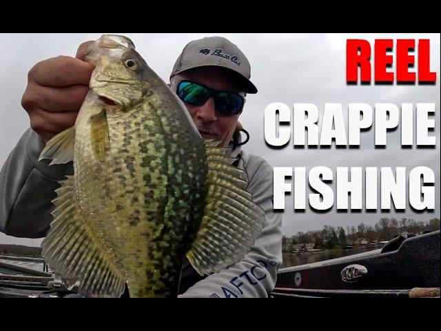 REEL Crappie Fishing (all Winter long)