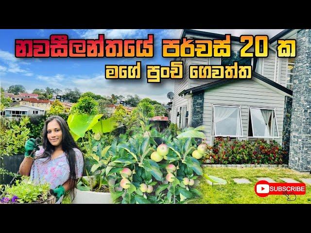 නවසීලන්තයේ මගේ පුංචි ගෙවත්ත | My Home Garden Tour In NewZealand  | Vlog 25