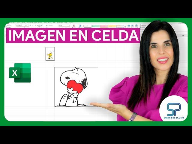  Cómo INSERTAR IMAGEN en una CELDA de Excel 