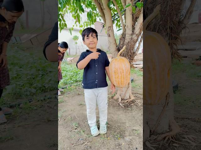 Sab popat ho gaya 