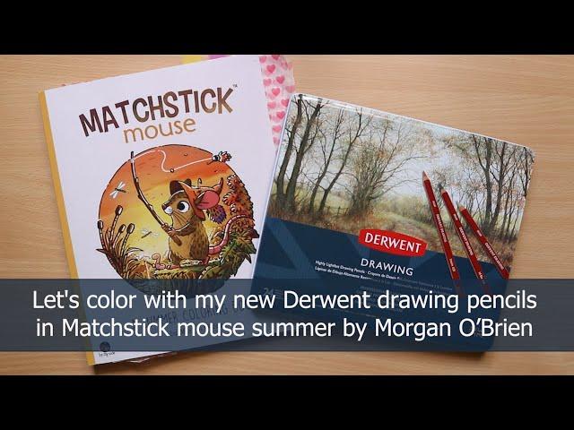 Coloring with Derwent drawing pencils | Matchstick Mouse summer | jungle raft | new art supplies