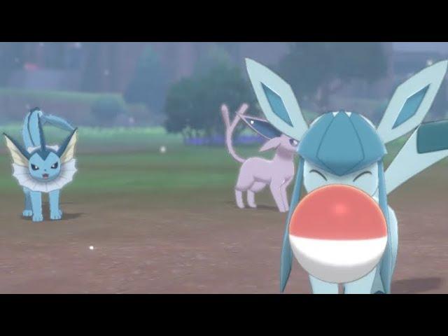 Glaceon did Vaporeon dirty