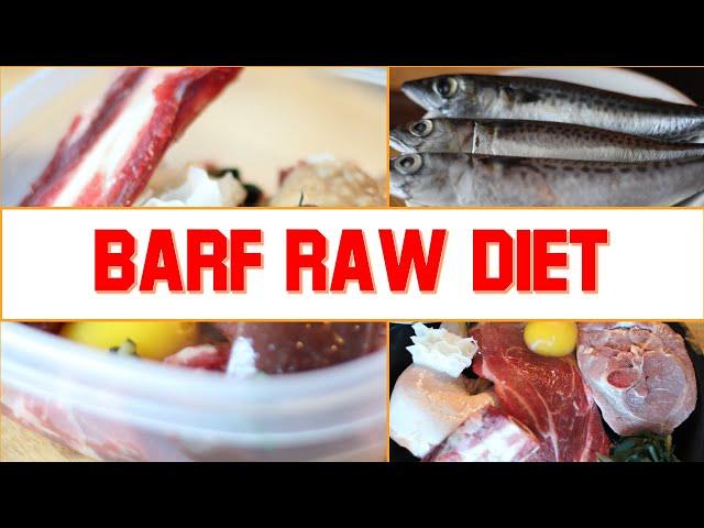 Easy Homemade DIY BARF Raw Food Diet for Your Dog