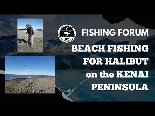 Online Fishing Forum: Beach Fishing for Halibut on Alaska’s Kenai Peninsula