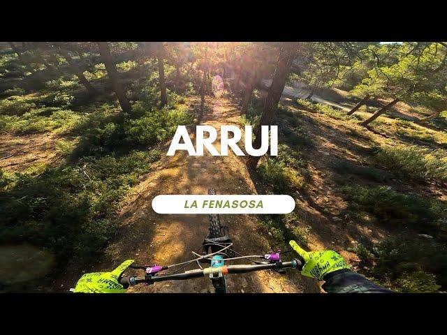 Arrui | Blue Line | Bikepark La Fenasosa Spain  Full Run POV RAW