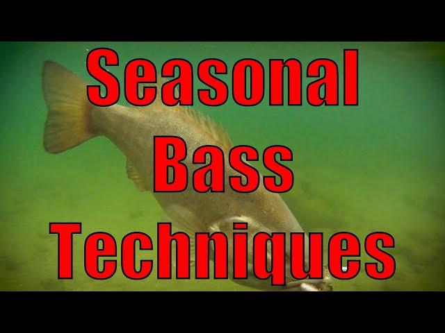 In-Fisherman TV (Season 46) E:4 - Understanding Seasonal Movements of Largemouth Bass