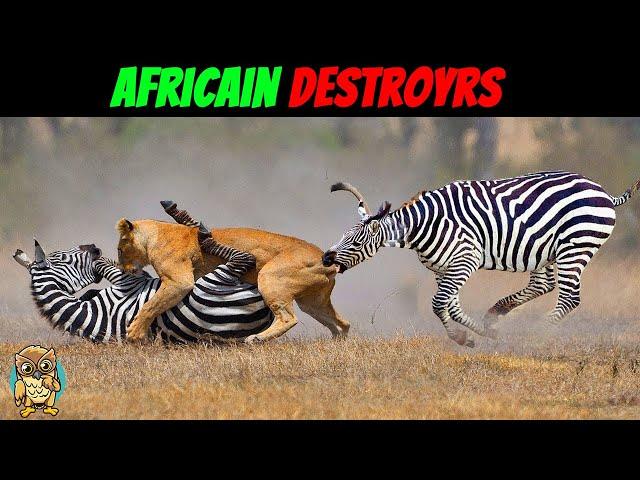 3 African Animals That Would Dominate South American Ecosystems