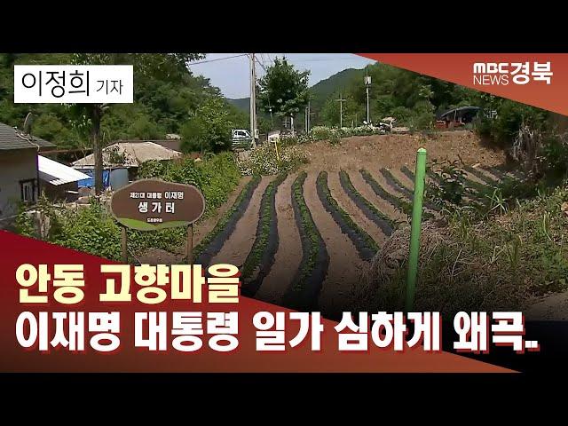 R]안동 고향마을 "이재명 대통령 일가 심하게 왜곡..제대로 알려졌으면" / 안동MBC