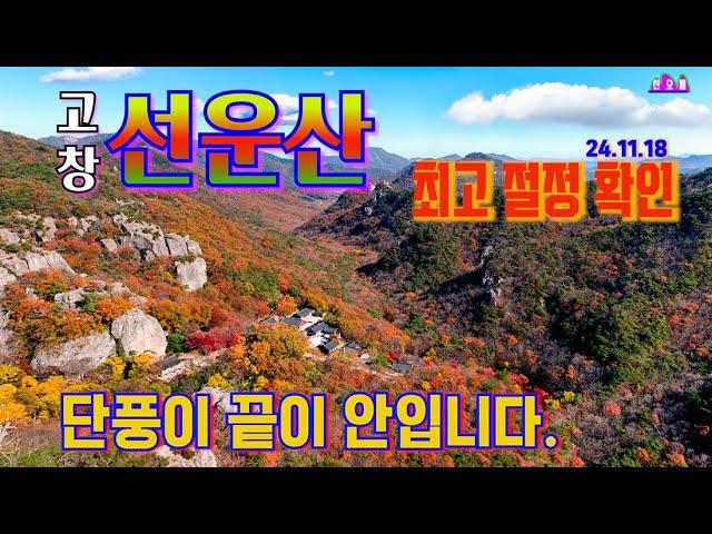 선운산 단풍 최고 절정의 모습 확인/석상암.선운산(수리봉)참담계곡.용문골.천마봉.도솔암.도설천 [[24년11월18일]] 단풍 완성 확인/관광 마지막 단풍 길 최고