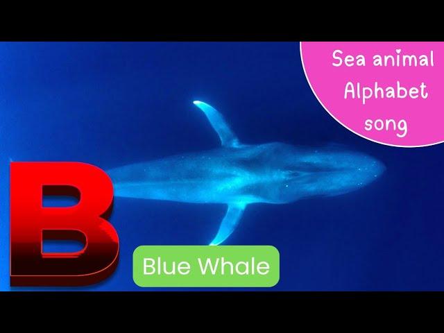 Sea Animals Alphabet for Kids | Fun ABC Learning with Ocean Creatures!