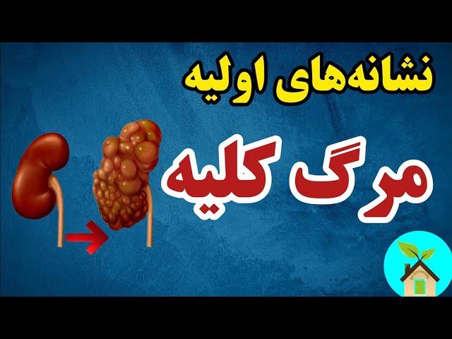 نشانه‌های اولیه مرگ کلیه/ با رعایت این نکات از مرگ کلیه پیشگیری کن