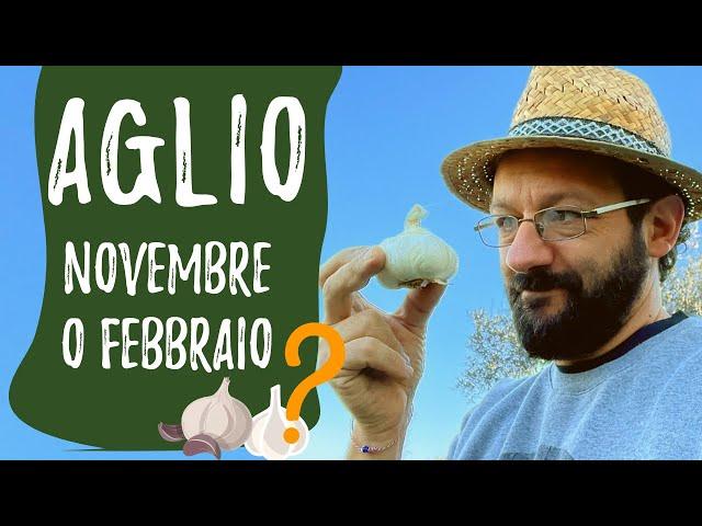 Piantare aglio! Novembre o gennaio?