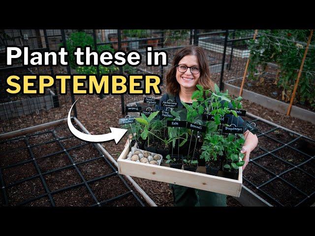 SEPTEMBER PLANTING GUIDE: What to Plant in Zones 9 and 10