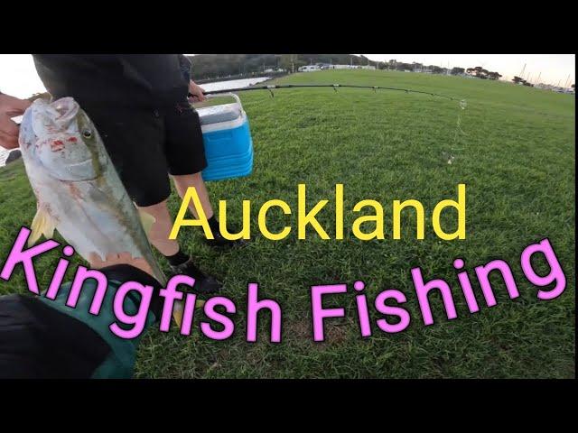 Kingfish Fishing Best Spots Auckland