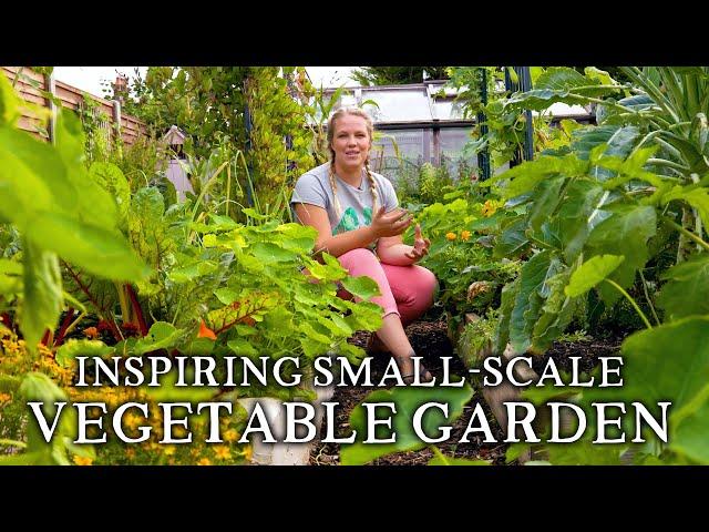 Massively Productive Small-Scale Suburban Vegetable Garden | Backyard Self-Sufficiency on a Budget