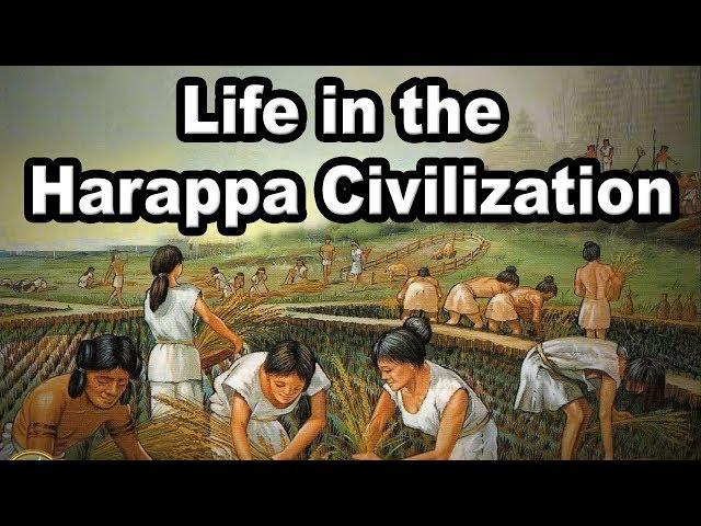 Life in the Harappa civilization | 9th Std | History | ICSE Board | Home Revise