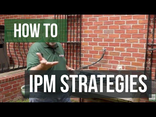 Integrated Pest Management- IPM (Eliminating Conducive Conditions)