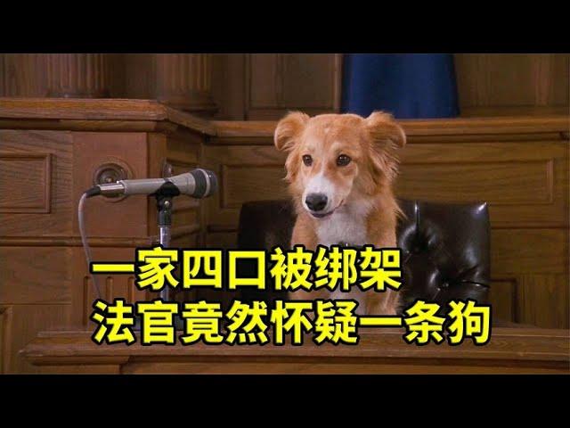 一家四口被綁架，法官竟然懷疑一條狗，喜劇電影《靈犬賓果》