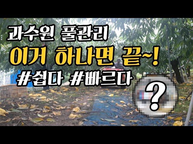 [재훈이네] 과수원 제초제 작업 / 이거면 끝.