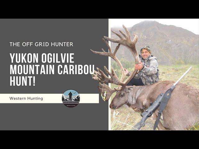 Yukon Caribou Hunt In The Oglivie Mountains! CARIBOU | THE OFF GRID HUNTER