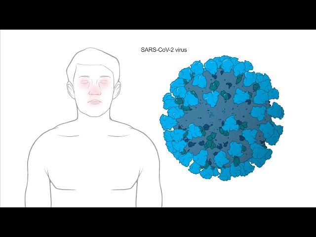 How does Moderna's Coronavirus vaccine work?