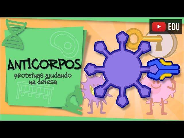 Anticorpos - ajudando os leucócitos