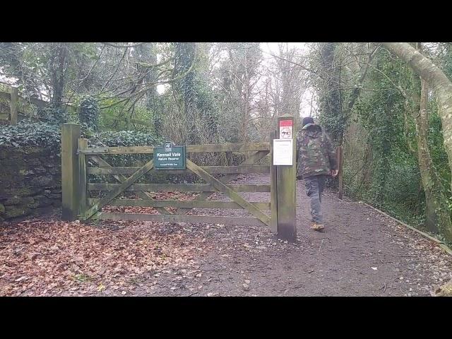 Lady Holywell. Kennall Vale Woods, Ponsanooth, Cornwall.