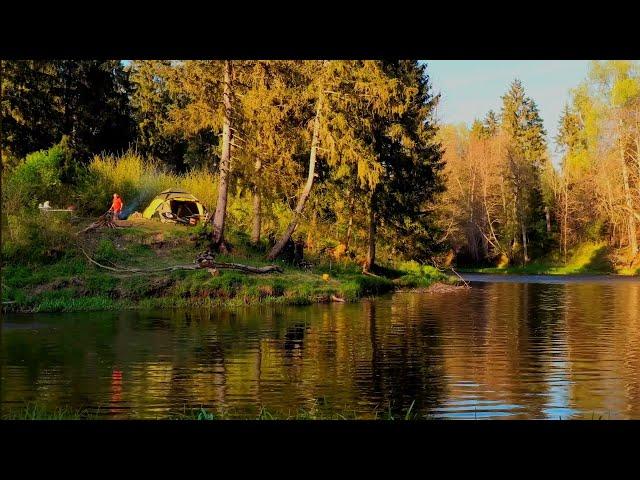 Рыбалка с ночёвками на лесной речке. Коптим рыбу. Походная баня. Вода кипит от рыбы.