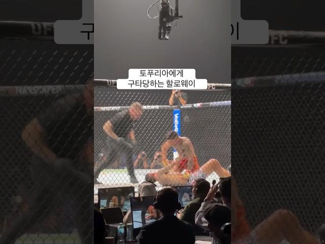 토푸리아 VS 할로웨이 #ufc #mma #boxing