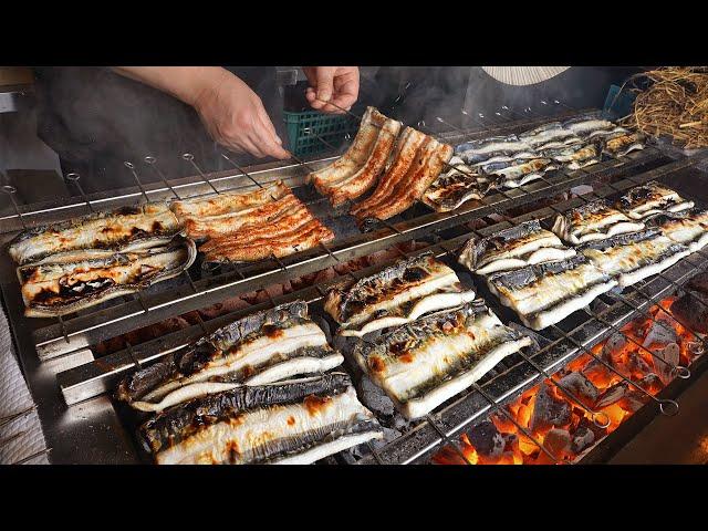 Amazing! Rice topped with charcoal-grilled eel & super crispy pork cutlet.  / Korean street food