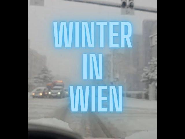 Schnee in wien winter