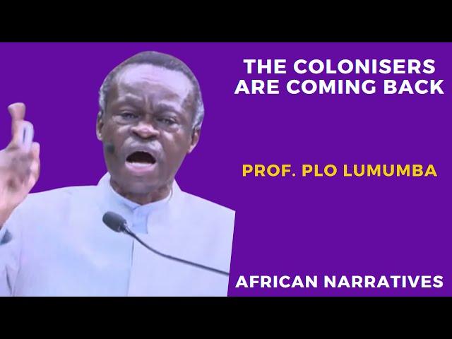 African Leaders Are Not Honourable | We Must Be Our Own Leaders | Professor PLO Lumumba