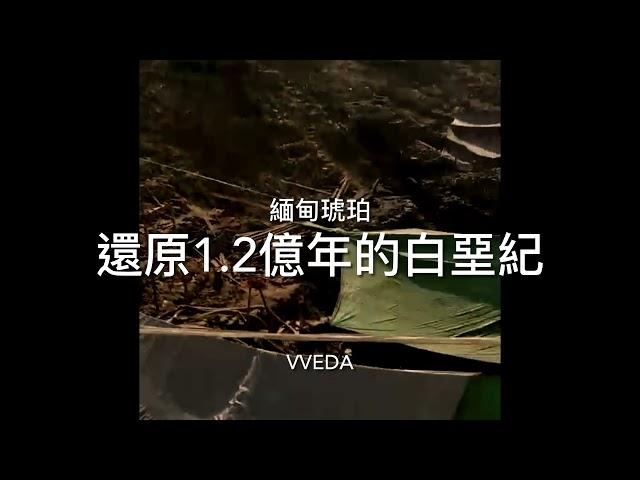 VVEDA石珀＿石下 既是力量 ：珀寂 靜如明心