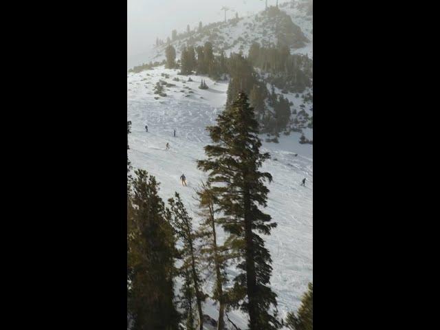 melin | Mammoth Mountain Opening Day