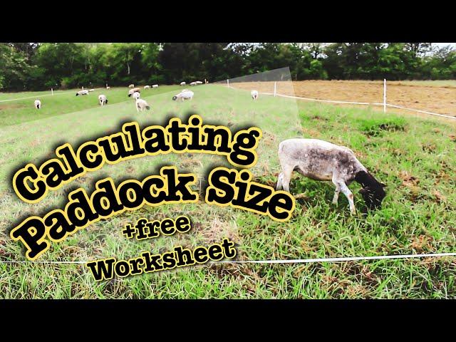 HOW BIG SHOULD EACH PADDOCK BE? Calculating Grazing Paddock Size for Rotational Grazing sheep & cows