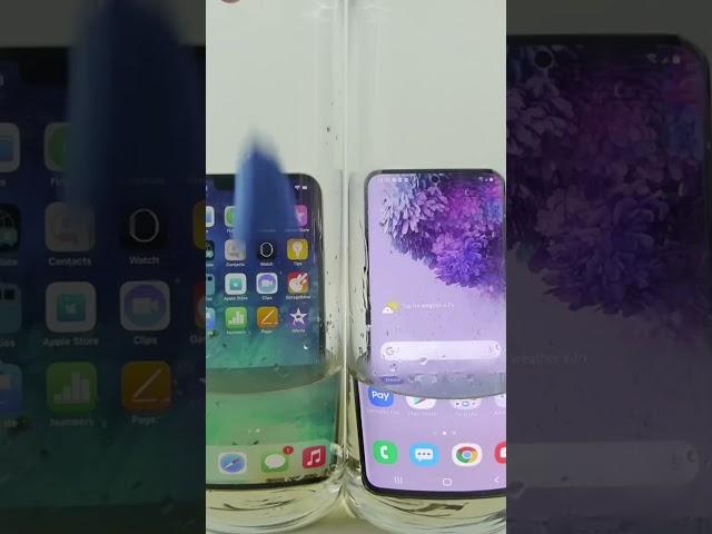 iPhone vs Samsung Galaxy in PIRANHA ACID Experiment