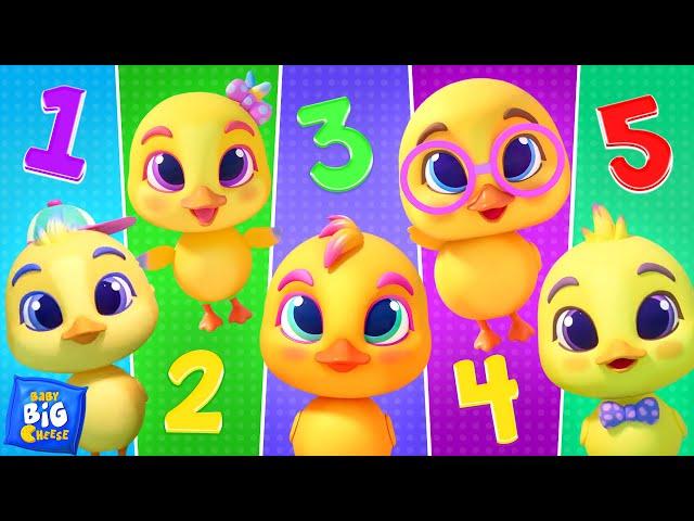 Five Little Ducks, Finger Family + More Animal Songs & Kids Rhymes