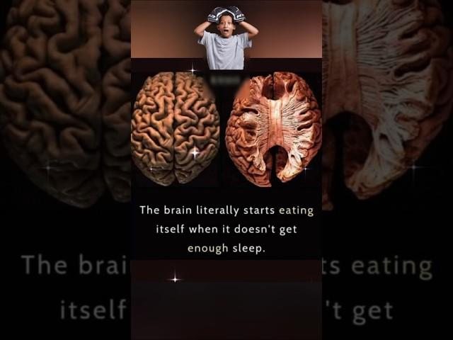 Easy way to make your mind work 100%FactsWill ShockYou#millenniumtutorials#facts#healthyliving