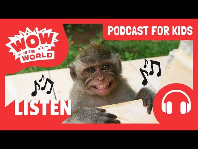 Do MONKEYS Like MUSIC?!  | PODCAST FOR KIDS  | Wow in the World FULL EPISODE